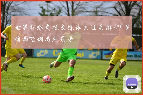 世界杯球员社交媒体关注度排行C罗梅西哈姆名列前茅