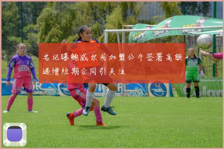 名记曝鲍威尔或加盟公牛签署高额递增短期合同引关注